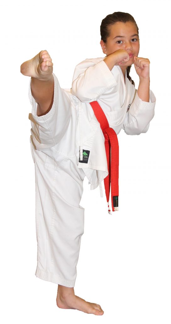 Red belt round house kick